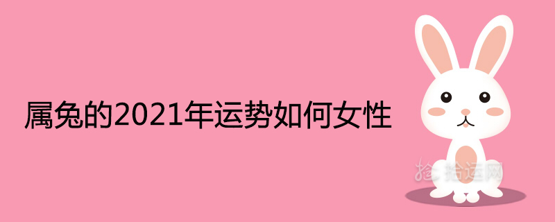 2021년 암컷 토끼의 운세