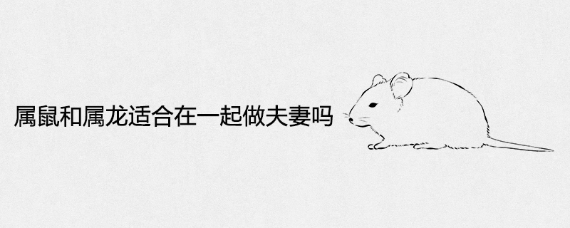 Are Rat and Dragon은 커플에게 적합합니까?