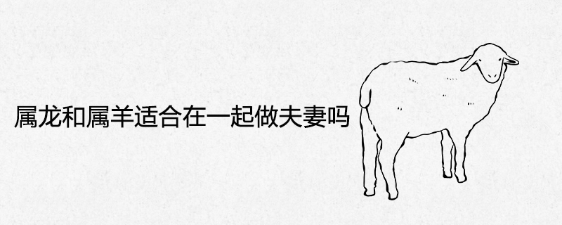 용과 양이 결혼하기에 적합합니까?