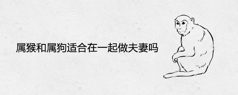 원숭이와 개가 커플에게 적합합니까?