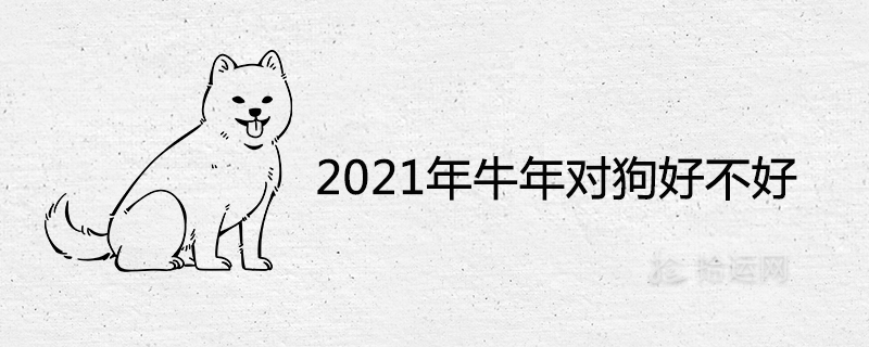 2021년 소의 해는 개에게 좋습니다