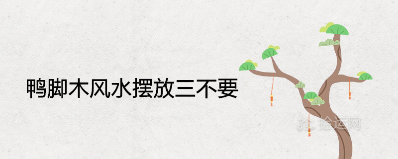Duck feet wood feng shui placement three do not