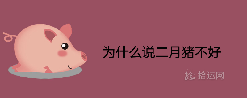 2월 돼지가 나쁜 이유