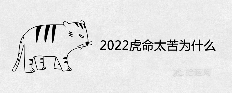 2022 호랑이의 삶이 너무 힘들어 왜