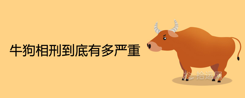불독은 얼마나 심각한가요?