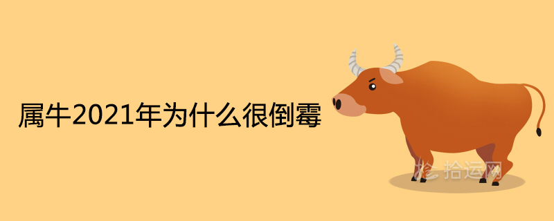 Why is the year of Ox unlucky in 2021