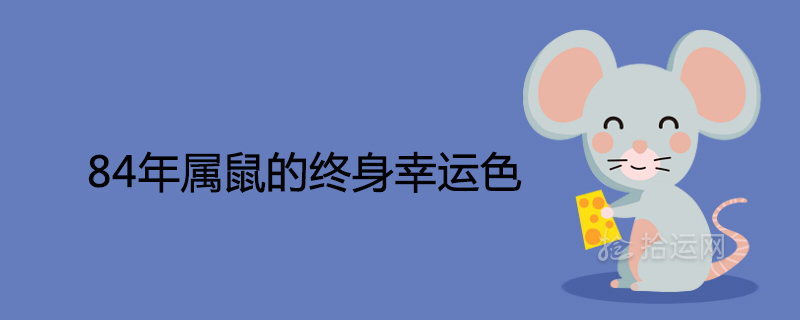 84년 동안의 쥐의 평생 행운의 색