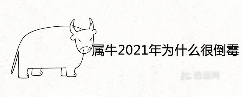 Why is the year of Ox unlucky in 2021