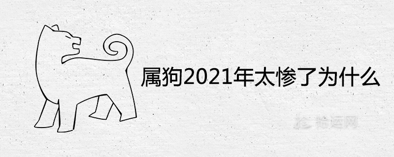 2021년은 개띠 해가 너무 비참한데 왜