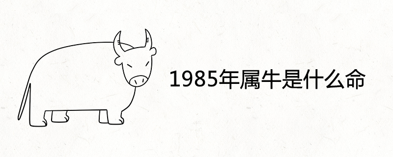 What is the life of the ox in 1985