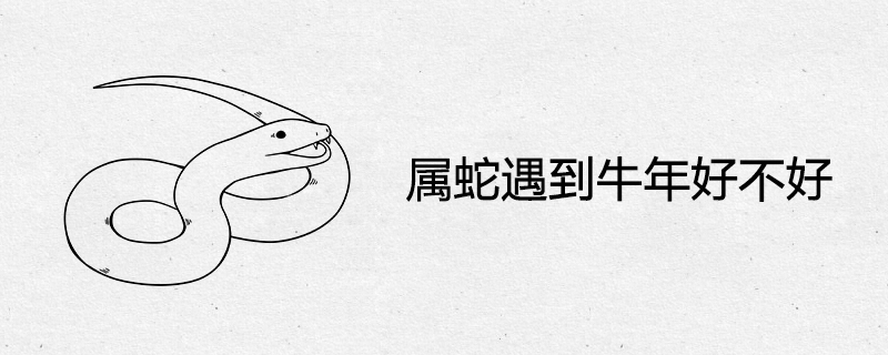 Is it a good time to meet the Year of the Ox