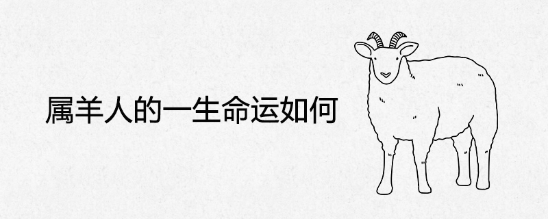 양의 운명은 무엇입니까