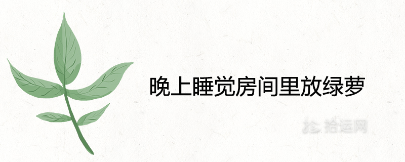 밤에 방에 무를 넣어도 될까요?