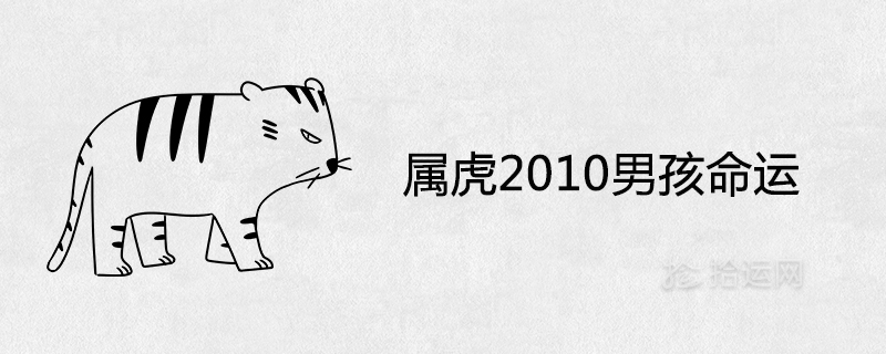 Tiger 2010 Boy Fate and Character