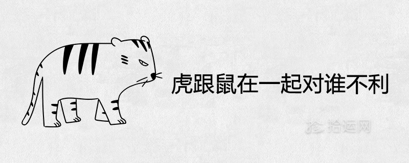 Tiger and mouse together are not good for who
