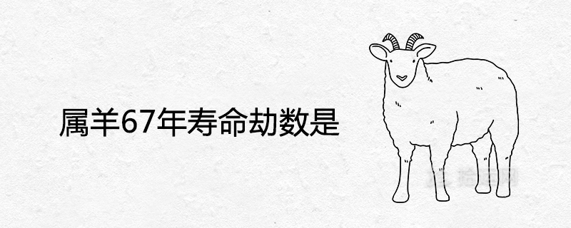 양의 수명은 67년입니다.