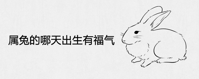 Blessed are you born in the year of the rabbit