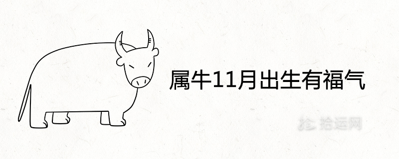11월에 태어나서 운이 좋은 이유