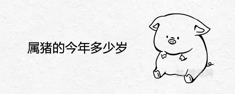 돼지 년은 몇 살입니까
