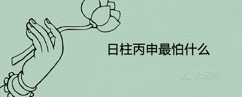 Sun Zhu Bingshen이 가장 두려워하는 것은 무엇입니까?