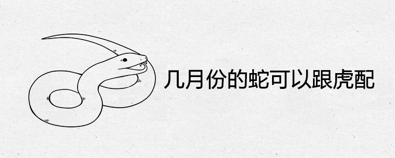 몇 달 안에 뱀이 호랑이와 맞먹을 수 있습니다