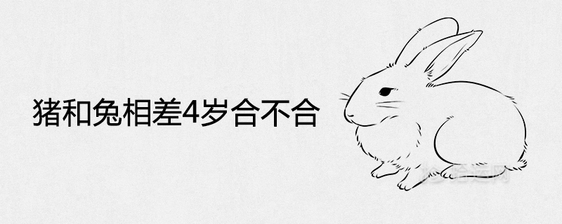 돼지와 토끼의 4살 차이