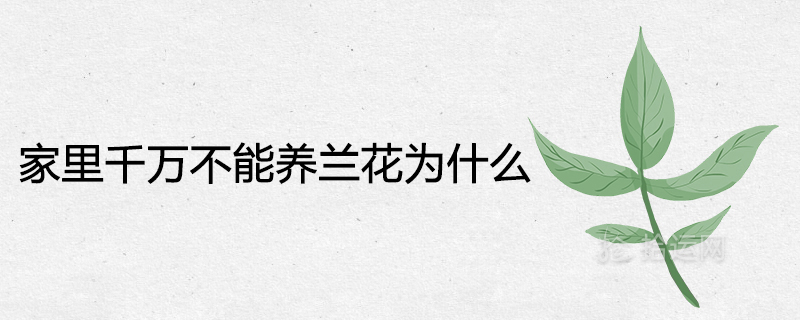 집에서 난초를 키우면 안 되는 이유는 무엇입니까?