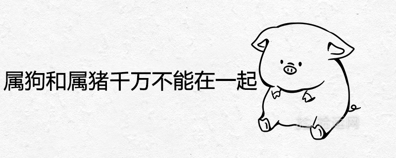 개와 돼지는 함께 있으면 안 되는 이유