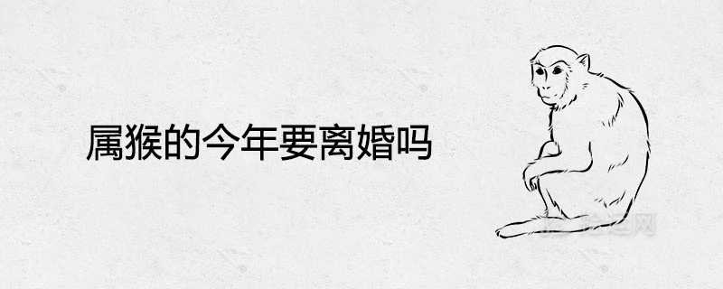몽키가 올해 이혼할 예정인가요?