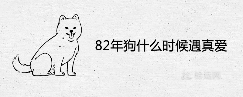 When did the dog meet true love in 1982