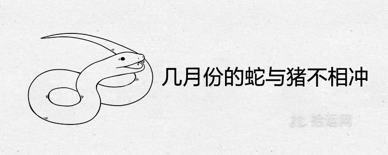 몇 개월 동안의 뱀과 돼지