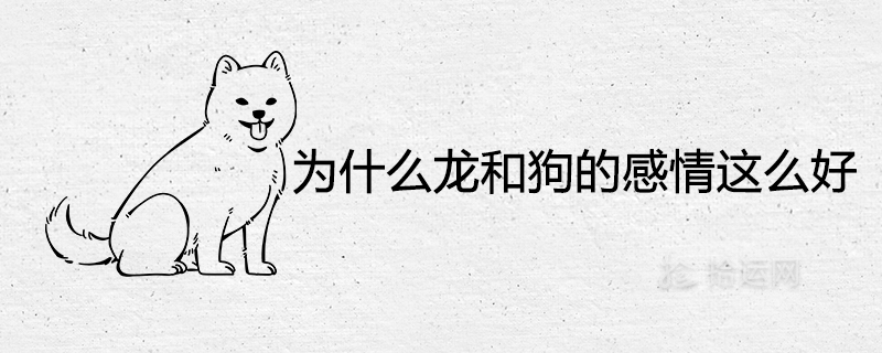 Why the relationship between dragon and dog is so good