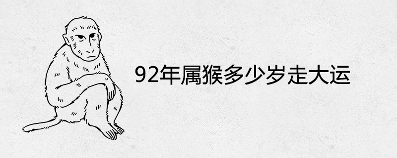 1992년 원숭이의 나이