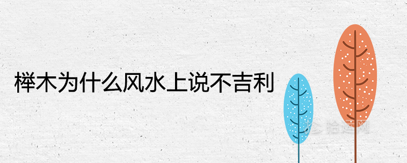 너도밤나무가 풍수에서 운이 없는 이유