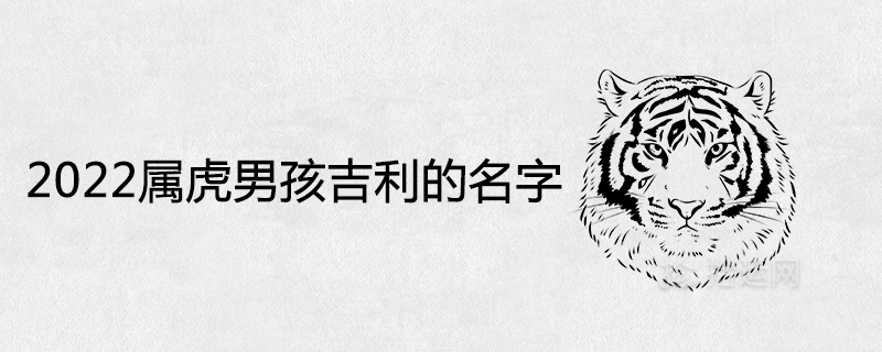 2022 Tiger Boy Auspicious Name
