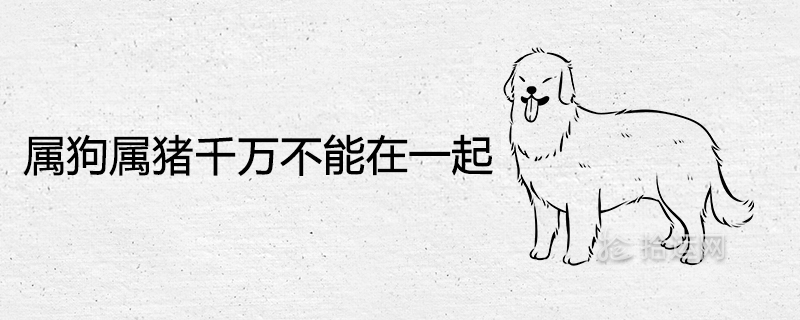 개와 돼지는 함께 있으면 안 되는 이유