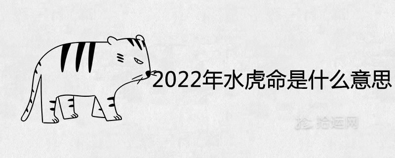2022년 물호랑이의 의미