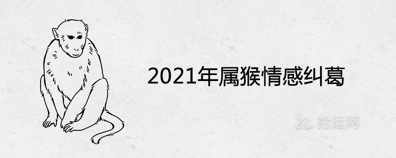 2021년 원숭이의 감정 얽힘은 무엇입니까