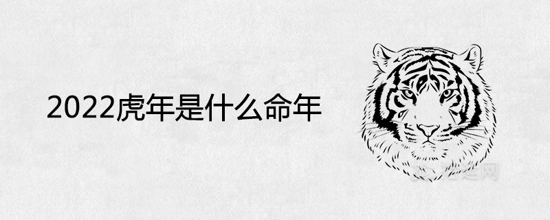 What is the year of the tiger in 2022