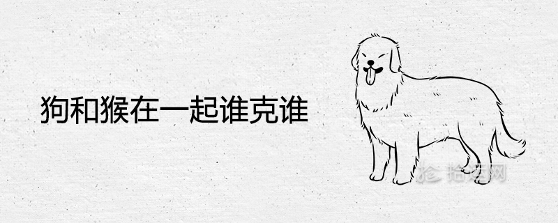 개와 원숭이가 함께 있습니다