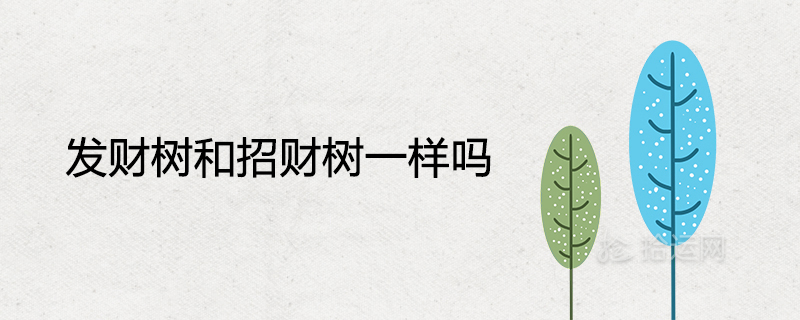 Is the Fortune Tree the same as the Lucky Tree