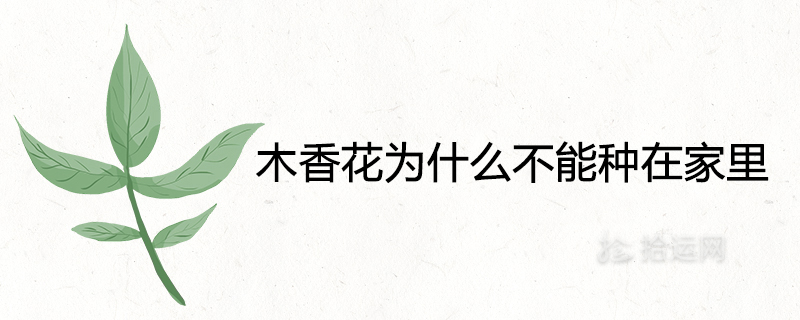 Why can’t I plant wood fragrant flowers at home