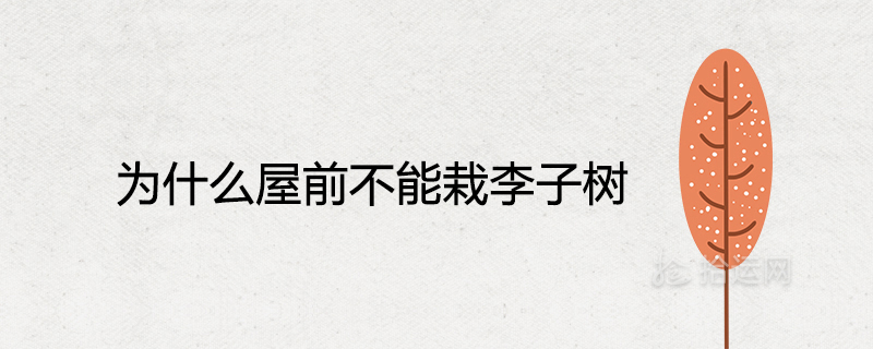 집 앞에 매화 나무를 심을 수 없는 이유