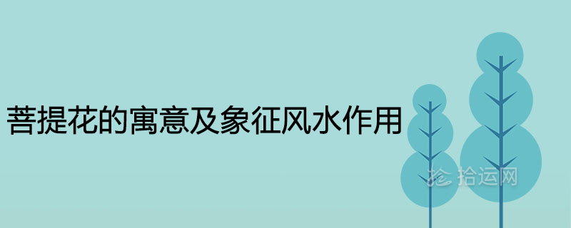 The meaning of linden and the role of Feng Shui