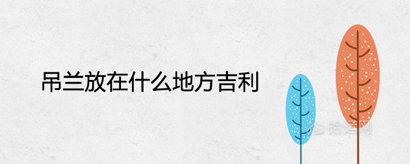 엽록소는 어디에 배치해야 합니까?