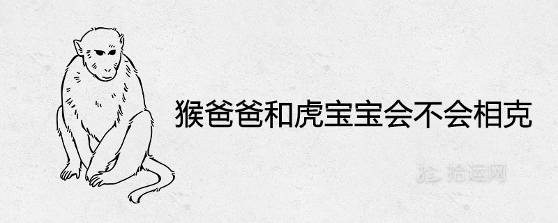 아빠 원숭이와 아기 호랑이가 싸울 것인가