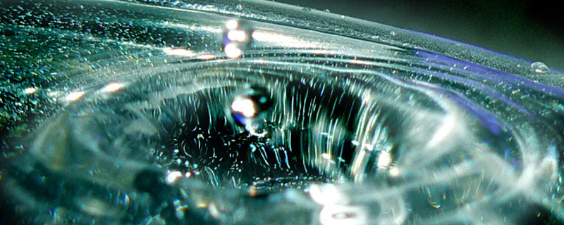 In 2020, what industry should be avoided in water life is unfavorable for wealth