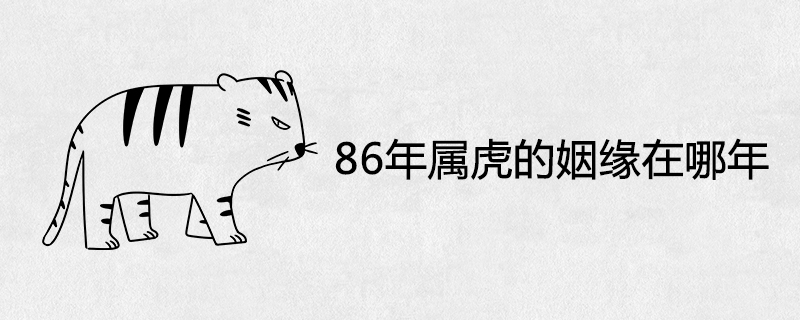 86 Years of Tiger