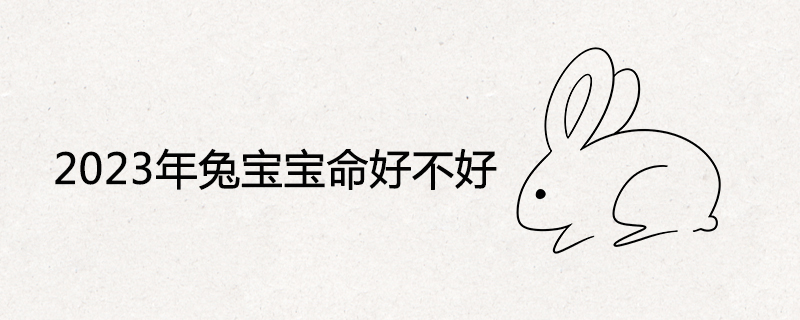 Bunny in 2023
