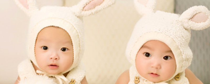 Does the 1991 Year of the Sheep Society have both children and children?